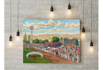 Stirling Albion FC Annfield Stadium Wall Art Canvas